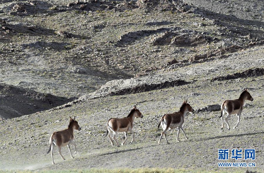 （在習近平新時代中國特色社會主義思想指引下&mdash;&mdash;新時代新作為新篇章&middot;習近平總書記關切事&middot;圖文互動）（1）綠色映底蘊，山水見初心&mdash;&mdash;生態(tài)優(yōu)先、綠色發(fā)展持續(xù)造福群眾美好生活