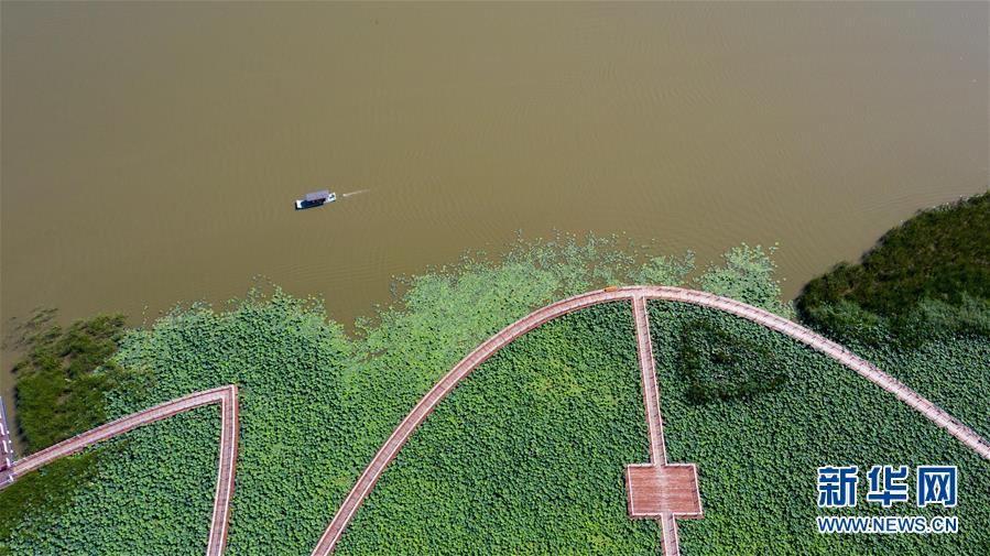 （在習近平新時代中國特色社會主義思想指引下&mdash;&mdash;新時代新作為新篇章&middot;習近平總書記關切事&middot;圖文互動）（8）綠色映底蘊，山水見初心&mdash;&mdash;生態(tài)優(yōu)先、綠色發(fā)展持續(xù)造福群眾美好生活