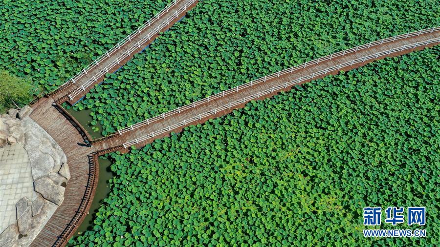 （在習近平新時代中國特色社會主義思想指引下&mdash;&mdash;新時代新作為新篇章&middot;習近平總書記關切事&middot;圖文互動）（9）綠色映底蘊，山水見初心&mdash;&mdash;生態(tài)優(yōu)先、綠色發(fā)展持續(xù)造福群眾美好生活