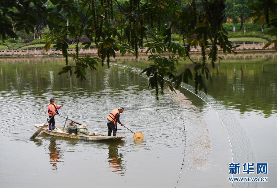 (長江經(jīng)濟(jì)帶·圖文互動(dòng))(3)李代國再下河