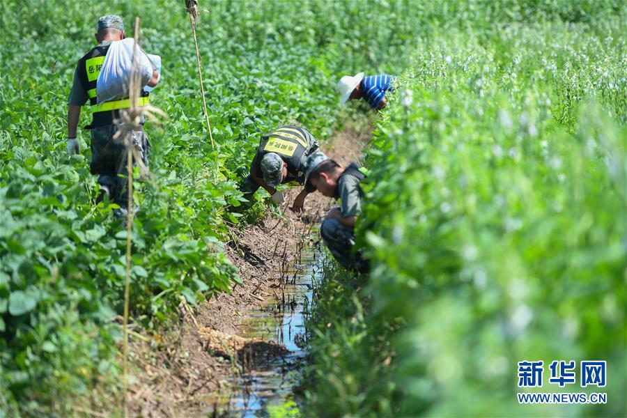（新華全媒頭條&middot;圖文互動(dòng)）（10）筑起共御水患的鋼鐵長(zhǎng)堤&mdash;&mdash;戰(zhàn)洪一線的&ldquo;干群關(guān)系新答卷&rdquo;