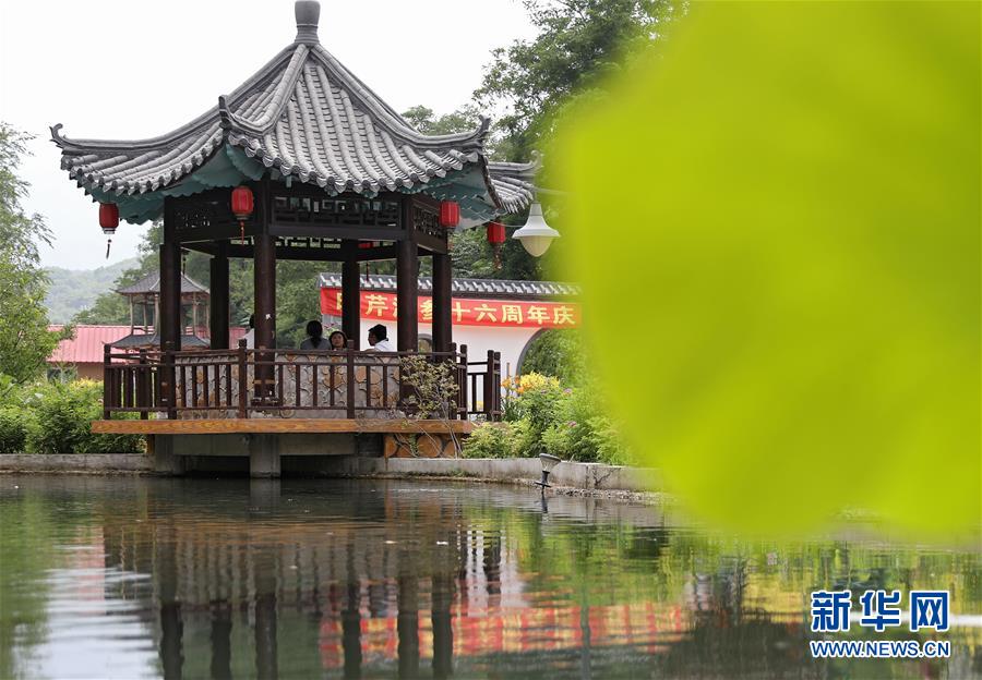 （走向我們的小康生活&middot;圖文互動(dòng)）（3）從&ldquo;遼寧藍(lán)&rdquo;到&ldquo;花果山&rdquo;&mdash;&mdash;遼寧推進(jìn)生態(tài)文明建設(shè)剪影