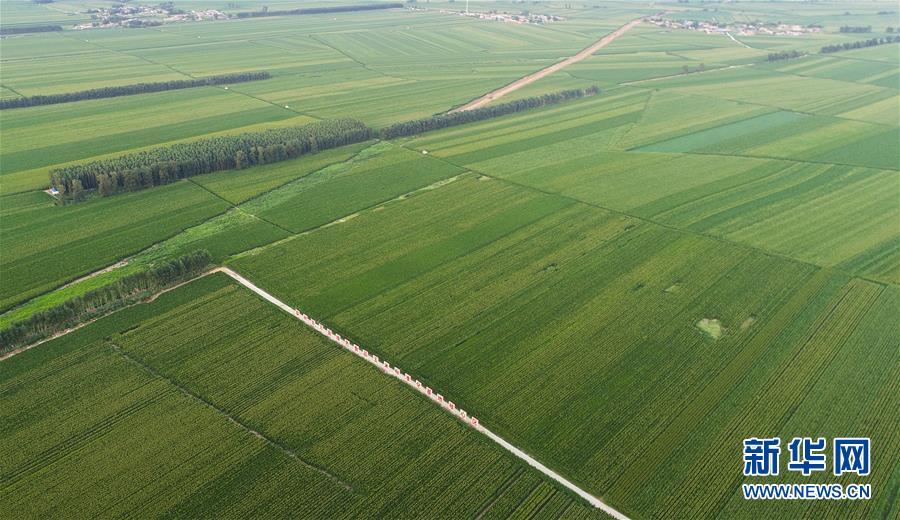 （在習近平新時代中國特色社會主義思想指引下&mdash;&mdash;新時代新作為新篇章&middot;習近平總書記關切事&middot;圖文互動）（2）為黑土加&ldquo;油&rdquo;&mdash;&mdash;&ldquo;耕地中的大熊貓&rdquo;，我們這樣保護