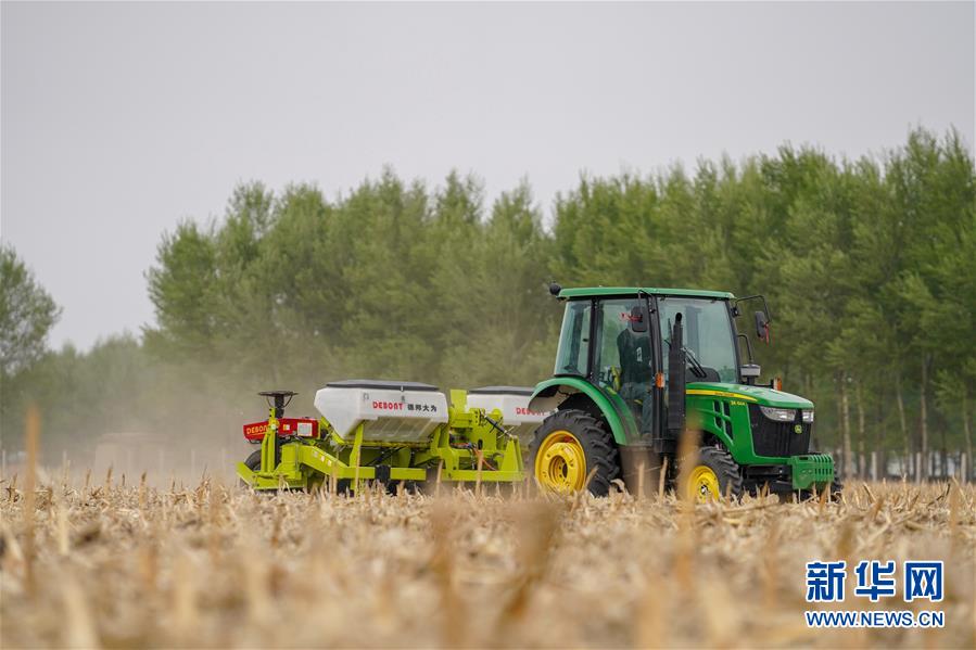 （在習近平新時代中國特色社會主義思想指引下&mdash;&mdash;新時代新作為新篇章&middot;習近平總書記關切事&middot;圖文互動）（7）為黑土加&ldquo;油&rdquo;&mdash;&mdash;&ldquo;耕地中的大熊貓&rdquo;，我們這樣保護