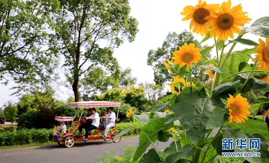 （新華全媒頭條&middot;走向我們的小康生活&middot;圖文互動(dòng)）（13）城市，讓人民生活更美好
