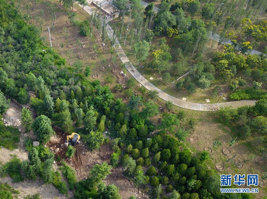 （新華全媒頭條&middot;圖文互動(dòng)）（15）扎實(shí)推進(jìn)籌辦，不負(fù)青春韶華&mdash;&mdash;北京冬奧會(huì)籌辦備戰(zhàn)克服疫情影響平穩(wěn)推進(jìn)