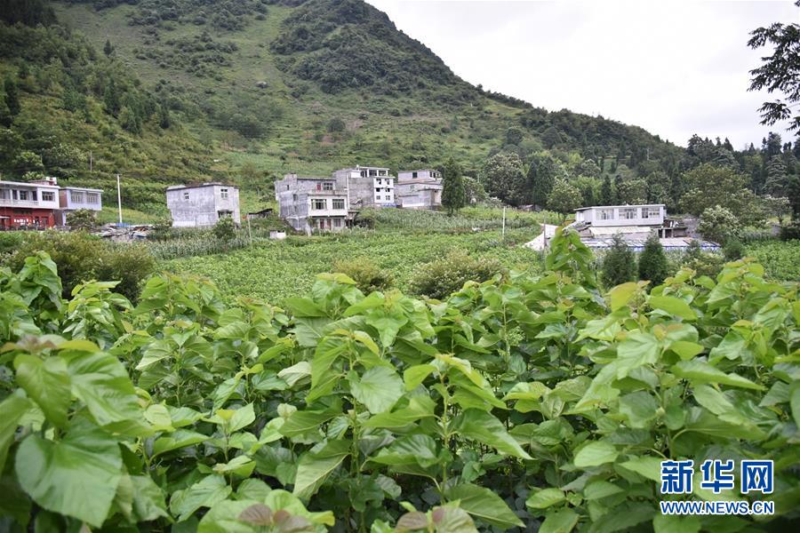 (決戰(zhàn)決勝脫貧攻堅(jiān)·圖文互動(dòng))(5)“江南繅絲”喀斯特深山扎根記