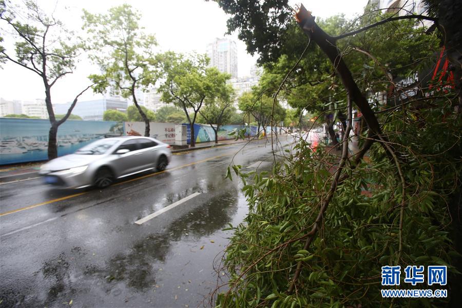 #（環(huán)境）（10）臺(tái)風(fēng)&ldquo;米克拉&rdquo;登陸福建