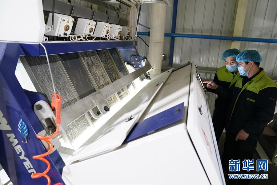 （在習(xí)近平新時代中國特色社會主義思想指引下&mdash;&mdash;新時代新作為新篇章&middot;習(xí)近平總書記關(guān)切事&middot;圖文互動）（6）激發(fā)每個經(jīng)濟(jì)&ldquo;細(xì)胞&rdquo;的活力&mdash;&mdash;千方百計把市場主體保護(hù)好