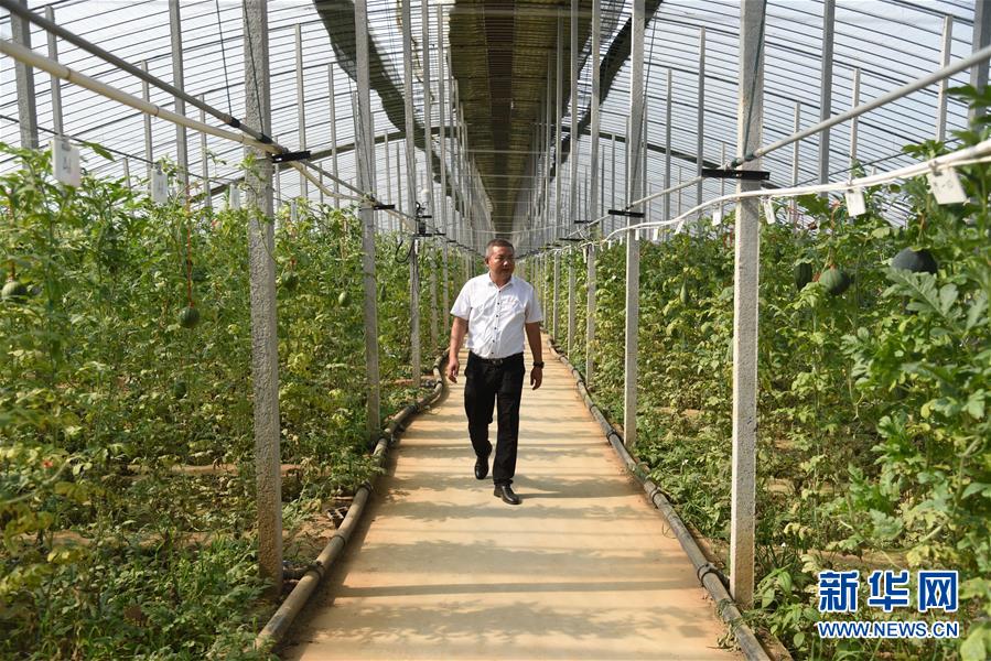 （新華全媒頭條&middot;走向我們的小康生活&middot;圖文互動(dòng)）（11）幸福小康入畫(huà)來(lái)&mdash;&mdash;齊魯大地描繪小康新畫(huà)卷