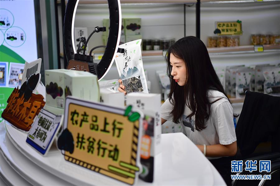 （走向我們的小康生活&middot;圖文互動(dòng)）（3）綠了青山，紅了日子&mdash;&mdash;秦巴山區(qū)群眾繪出小康&ldquo;調(diào)色板&rdquo;