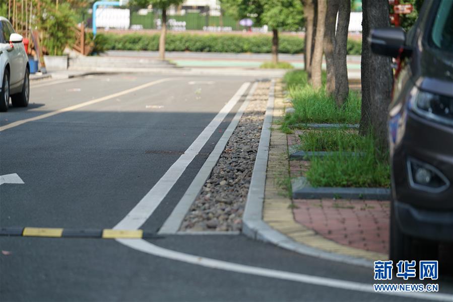 （圖文互動(dòng)）（2）&ldquo;綠灰白&rdquo;破解城市內(nèi)澇之&ldquo;囧&rdquo;