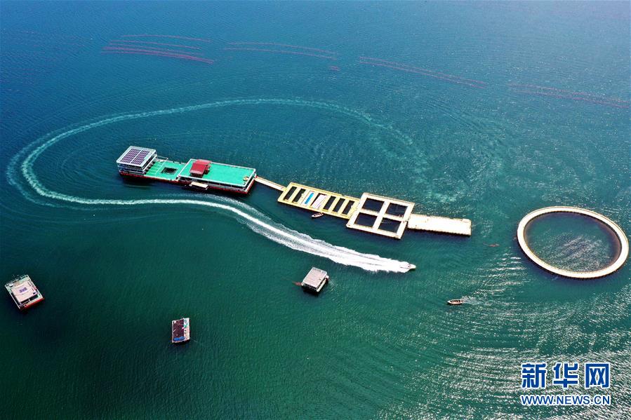 （圖文互動(dòng)）（2）把&ldquo;試驗(yàn)田&rdquo;種成&ldquo;高產(chǎn)田&rdquo;&mdash;&mdash;記中國(guó)（山東）自由貿(mào)易試驗(yàn)區(qū)設(shè)立一周年