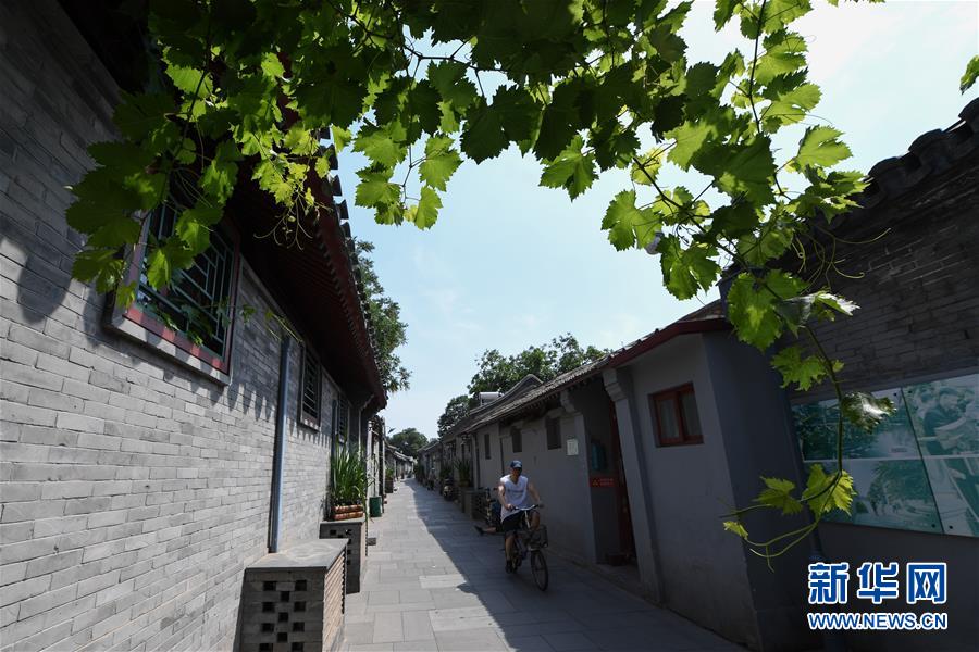 （走向我們的小康生活&middot;圖文互動(dòng)）（1）小橋、流水、書香、人家&mdash;&mdash;老北京胡同里的恬靜棲居
