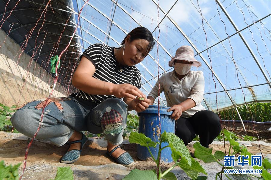 （新華全媒頭條&middot;走向我們的小康生活&middot;圖文互動(dòng)）（5）&ldquo;苦甲&rdquo;不再，&ldquo;甘味&rdquo;綿長&mdash;&mdash;脫貧攻堅(jiān)的甘肅味道