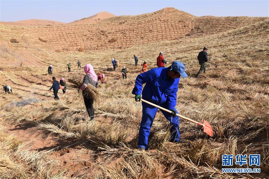 （新華全媒頭條&middot;走向我們的小康生活&middot;圖文互動(dòng)）（6）&ldquo;苦甲&rdquo;不再，&ldquo;甘味&rdquo;綿長&mdash;&mdash;脫貧攻堅(jiān)的甘肅味道