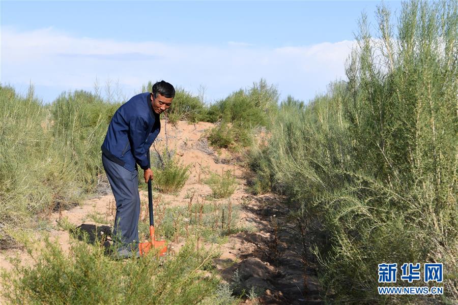 （新華全媒頭條&middot;走向我們的小康生活&middot;圖文互動(dòng)）（8）&ldquo;苦甲&rdquo;不再，&ldquo;甘味&rdquo;綿長&mdash;&mdash;脫貧攻堅(jiān)的甘肅味道