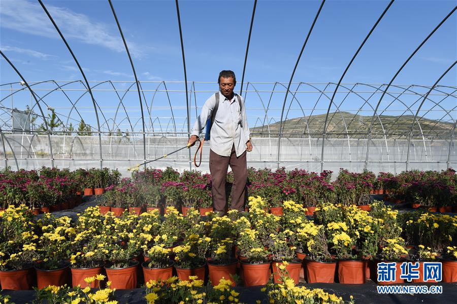 （新華全媒頭條&middot;走向我們的小康生活&middot;圖文互動(dòng)）（10）&ldquo;苦甲&rdquo;不再，&ldquo;甘味&rdquo;綿長&mdash;&mdash;脫貧攻堅(jiān)的甘肅味道