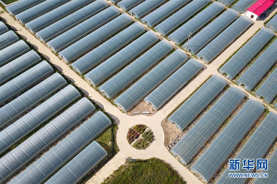 （新華全媒頭條&middot;走向我們的小康生活&middot;圖文互動(dòng)）（11）&ldquo;苦甲&rdquo;不再，&ldquo;甘味&rdquo;綿長&mdash;&mdash;脫貧攻堅(jiān)的甘肅味道