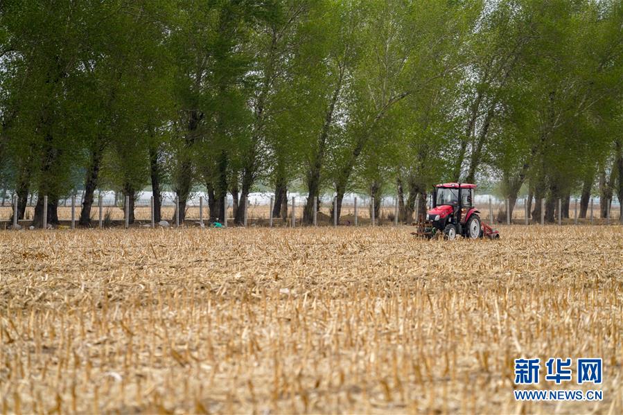 (新華全媒頭條·圖文互動(dòng))(9)為現(xiàn)代農(nóng)業(yè)探新路——來自吉林梨樹的田野報(bào)告
