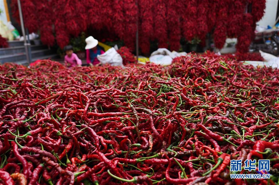 （走向我們的小康生活&middot;決戰(zhàn)決勝脫貧攻堅&middot;圖文互動）（7）甘青交界處的跨越&mdash;&mdash;保安族、撒拉族的脫貧故事 
