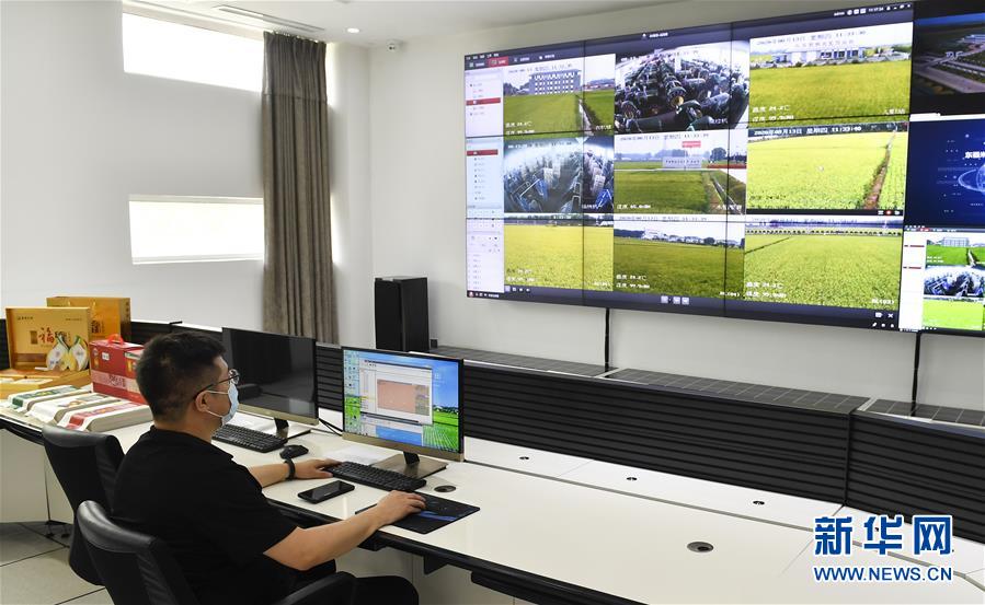 （新華全媒頭條&middot;走向我們的小康生活&middot;圖文互動）（4）黑土地上是我家&mdash;&mdash;在吉林，一瞥中國東北鄉(xiāng)村美麗未來