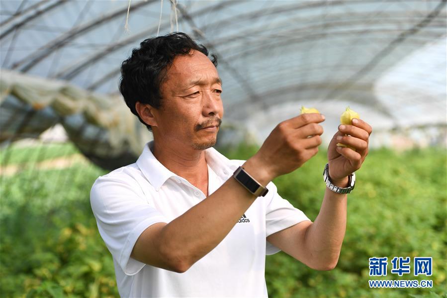 （新華全媒頭條&middot;走向我們的小康生活&middot;圖文互動）（7）黑土地上是我家&mdash;&mdash;在吉林，一瞥中國東北鄉(xiāng)村美麗未來