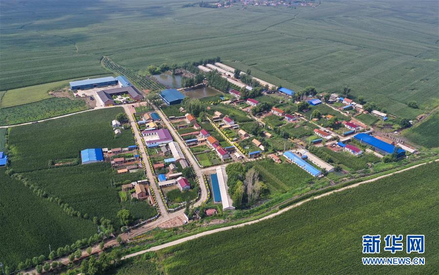 （新華全媒頭條&middot;走向我們的小康生活&middot;圖文互動）（12）黑土地上是我家&mdash;&mdash;在吉林，一瞥中國東北鄉(xiāng)村美麗未來