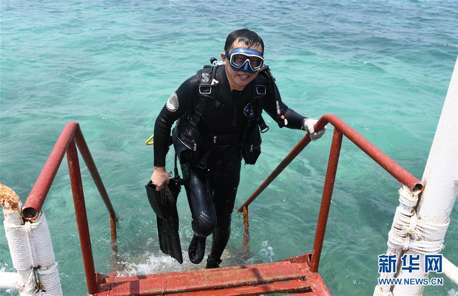 （在習(xí)近平新時(shí)代中國特色社會(huì)主義思想指引下&mdash;&mdash;新時(shí)代新作為新篇章&middot;習(xí)近平總書記關(guān)切事&middot;圖文互動(dòng)）（5）終不悔為國為民，攀高峰只爭朝夕&mdash;&mdash;來自科學(xué)家們的動(dòng)人故事