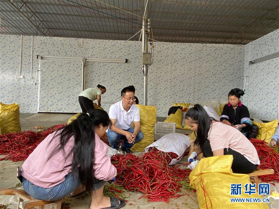 (新華全媒頭條·決戰(zhàn)決勝脫貧攻堅·督戰(zhàn)未摘帽貧困縣·圖文互動)(6)把“最能打的人”放在最需要的地方——聚焦貴州未脫貧縣里的“助攻干部”