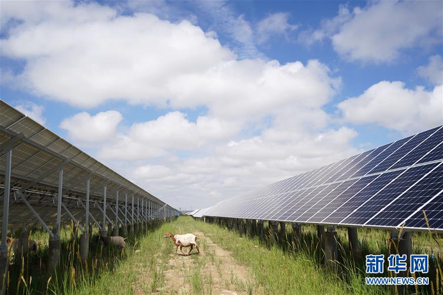 (新華全媒頭條·走向我們的小康生活·決戰(zhàn)決勝脫貧攻堅(jiān)·圖文互動(dòng))(2)高原上綻放的光芒——來(lái)自青海攻克深度貧困堡壘的故事