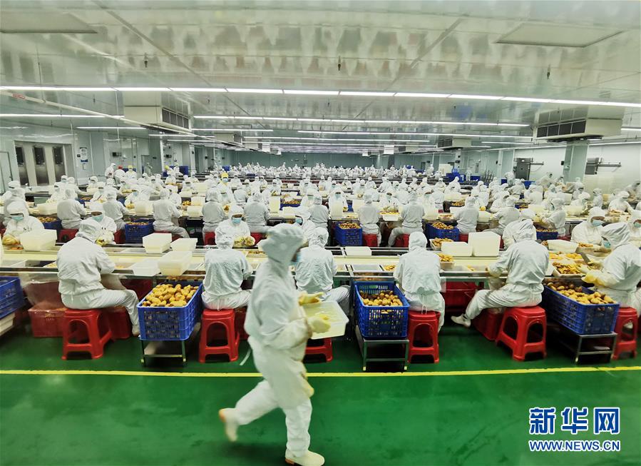 （決戰(zhàn)決勝脫貧攻堅&middot;圖文互動）（8）同飲一江水 攜手&ldquo;斬窮根&rdquo;&mdash;&mdash;深圳對口廣西河池、百色扶貧協(xié)作見聞