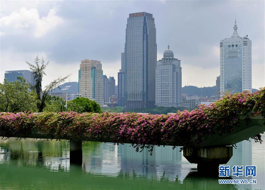 (特區(qū)40年?圖文互動(dòng))(7)廈庇五洲客 門納萬(wàn)頃濤——廈門經(jīng)濟(jì)特區(qū)40年發(fā)展紀(jì)實(shí)