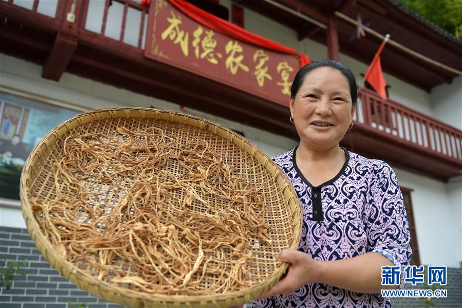 （新華全媒頭條&middot;走向我們的小康生活&middot;圖文互動）（4）神山村&ldquo;神奇&rdquo;何在？&mdash;&mdash;井岡山深處覓答案