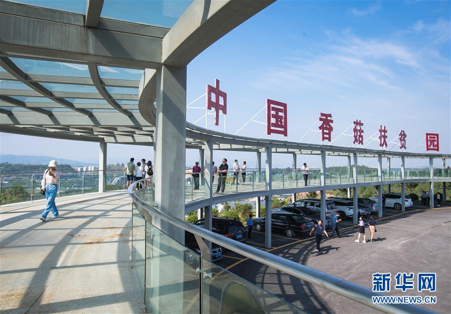 （新華全媒頭條&middot;走向我們的小康生活&middot;圖文互動）（2）特殊之年，荊楚大地書寫不平凡的答卷