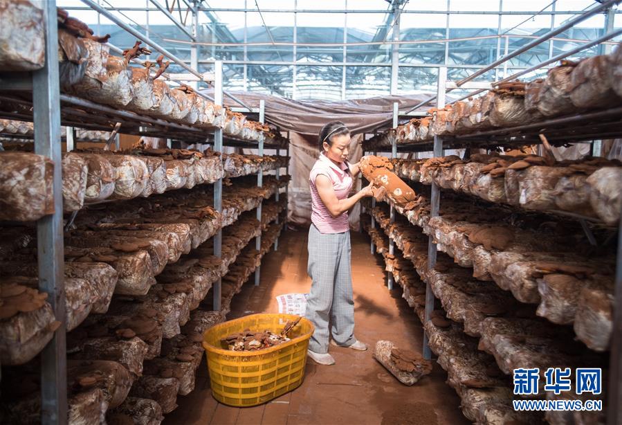 （新華全媒頭條&middot;走向我們的小康生活&middot;圖文互動）（3）特殊之年，荊楚大地書寫不平凡的答卷