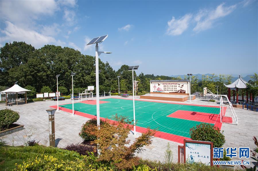 （新華全媒頭條&middot;走向我們的小康生活&middot;圖文互動）（6）特殊之年，荊楚大地書寫不平凡的答卷