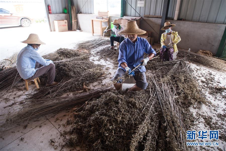 （新華全媒頭條&middot;走向我們的小康生活&middot;圖文互動）（10）特殊之年，荊楚大地書寫不平凡的答卷
