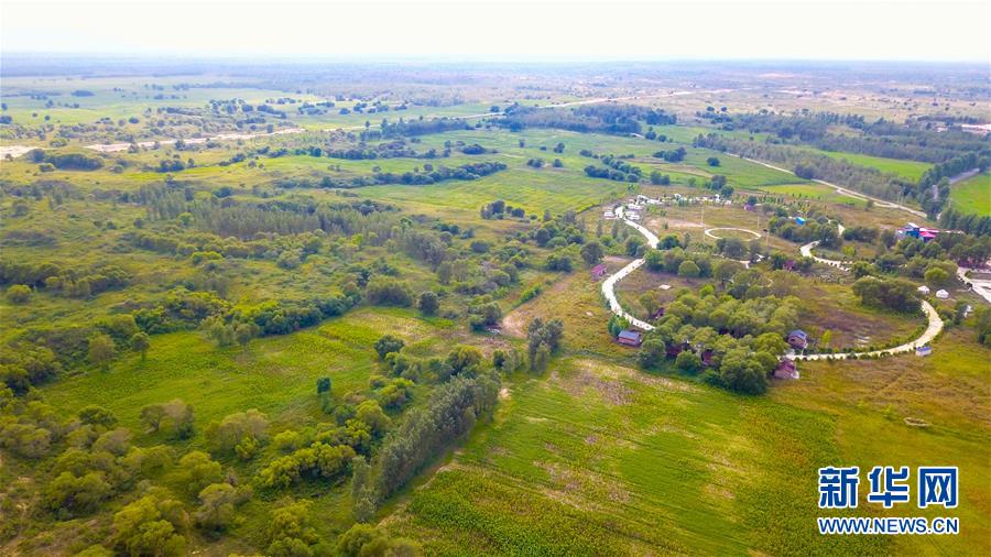 （在習(xí)近平新時(shí)代中國特色社會(huì)主義思想指引下&mdash;&mdash;新時(shí)代新作為新篇章&middot;習(xí)近平總書記關(guān)切事&middot;圖文互動(dòng)）（1）綠意，在黃沙中鋪展&mdash;&mdash;我國防沙治沙紀(jì)實(shí)