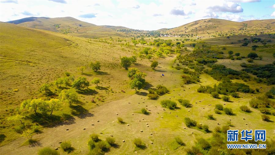 （在習(xí)近平新時(shí)代中國特色社會(huì)主義思想指引下&mdash;&mdash;新時(shí)代新作為新篇章&middot;習(xí)近平總書記關(guān)切事&middot;圖文互動(dòng)）（4）綠意，在黃沙中鋪展&mdash;&mdash;我國防沙治沙紀(jì)實(shí)
