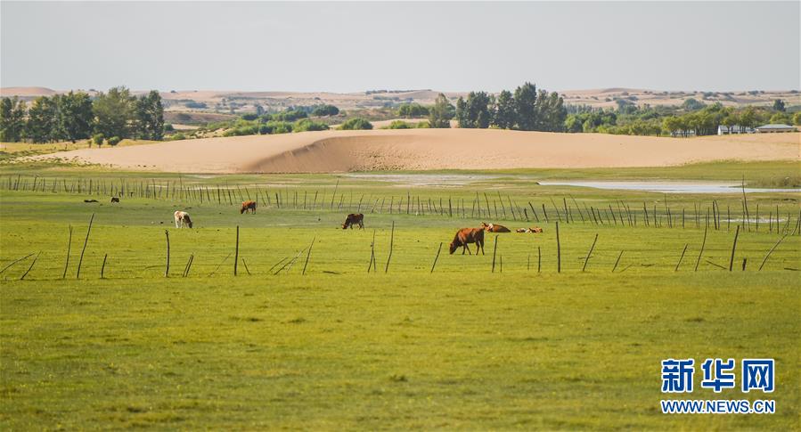 （在習(xí)近平新時(shí)代中國特色社會(huì)主義思想指引下&mdash;&mdash;新時(shí)代新作為新篇章&middot;習(xí)近平總書記關(guān)切事&middot;圖文互動(dòng)）（9）綠意，在黃沙中鋪展&mdash;&mdash;我國防沙治沙紀(jì)實(shí)