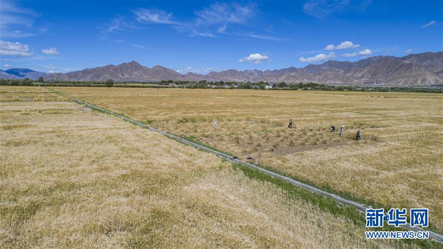 （新華全媒頭條&middot;走向我們的小康生活&middot;圖文互動(dòng)）（11）扎西德勒，我們的新家園&mdash;&mdash;西藏易地扶貧搬遷搬出幸福美好新生活