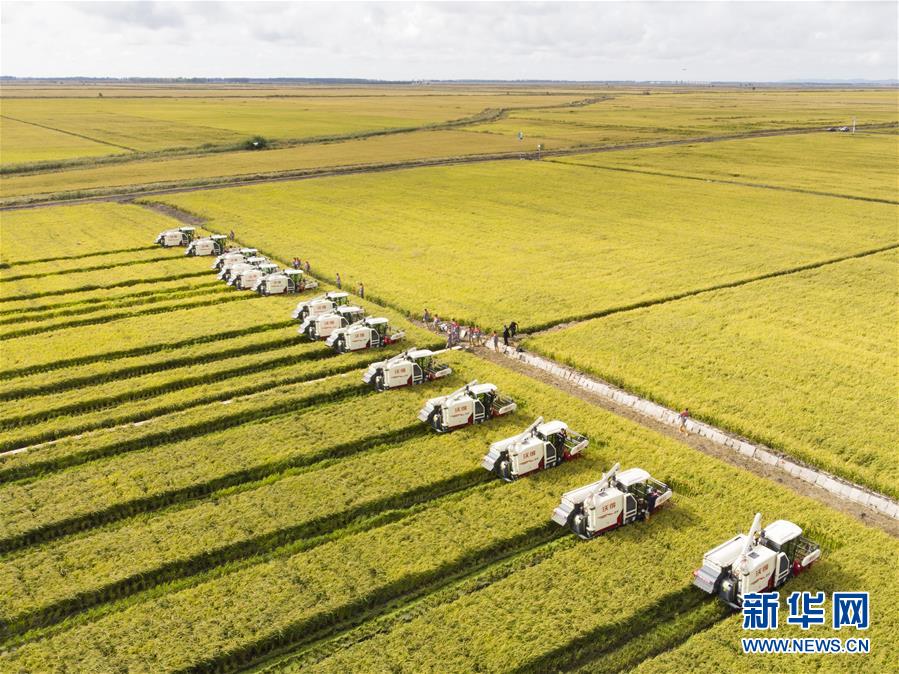 （新華全媒頭條&middot;圖文互動）（15）奮斗結(jié)碩果，再寫新篇章&mdash;&mdash;寫在共和國71周年華誕之際