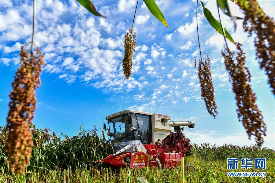 （新華全媒頭條&middot;圖文互動）（17）奮斗結(jié)碩果，再寫新篇章&mdash;&mdash;寫在共和國71周年華誕之際
