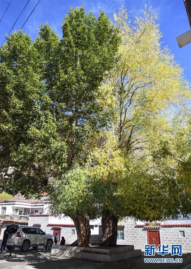 (圖文互動)(2)歷史遺跡的述說——西藏昌都源遠(yuǎn)流長的民族團(tuán)結(jié)故事