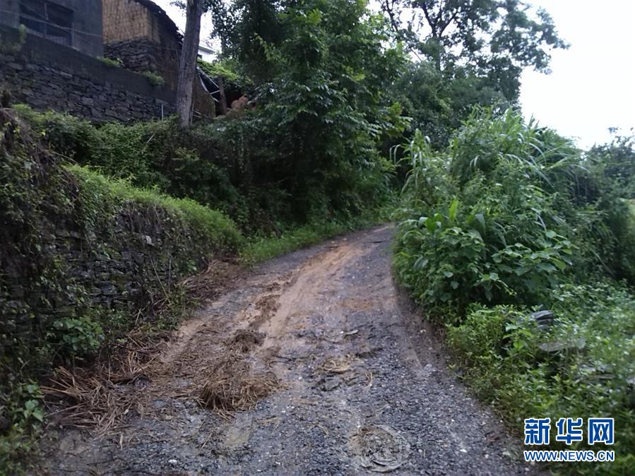 （集中連片特困地區(qū)貧困村調研行&middot;圖文互動）（3）百果園里幸福長&mdash;&mdash;湖南鳳凰縣菖蒲塘村脫貧調查