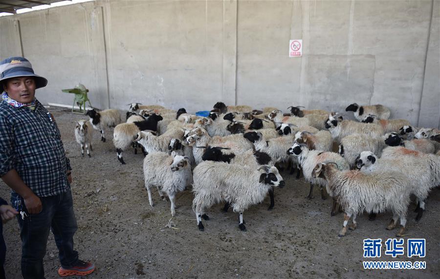 (集中連片特困地區(qū)貧困村調研行·圖文互動)(4)長江源村人的兩個家和幸福夢——青海格爾木市長江源村脫貧調查