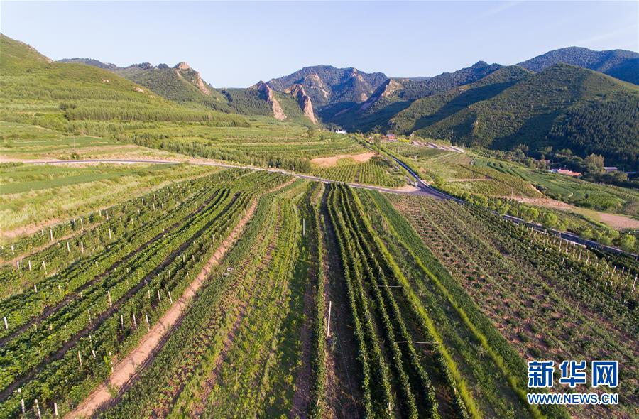 (集中連片特困地區(qū)貧困村調(diào)研行·圖文互動)(1)又整新鞍馬蹄輕——內(nèi)蒙古喀喇沁旗馬鞍山村脫貧調(diào)查