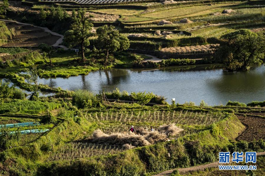 (集中連片特困地區(qū)貧困村調(diào)研行·圖文互動(dòng))(4)阿佤人民再唱新歌——云南騰沖市三家村中寨司莫拉佤族村脫貧調(diào)查