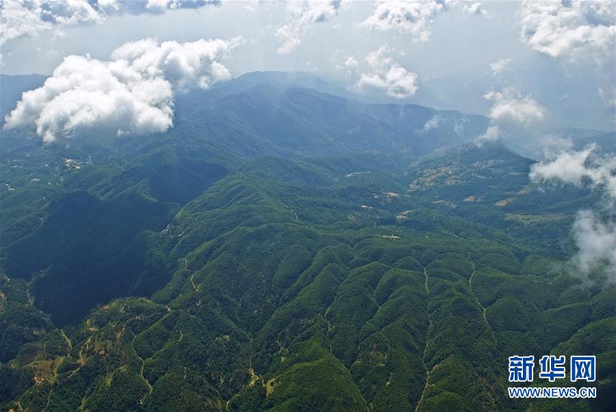 (熱點(diǎn)鮮報·圖文互動)(1)善洲精神永相傳:留下一片綠洲 造福家鄉(xiāng)百姓